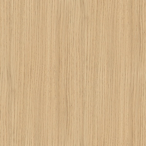 Eterno Oak